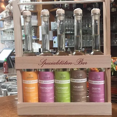 Meindl - Self-check-in Mit 24h Telefon Support 3* Lustenau